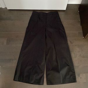 Aritzia cropped wide leg Babaton black pants.